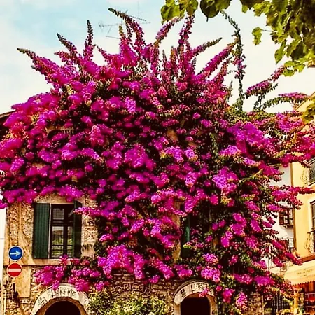 Boutique Отель Сирмионе