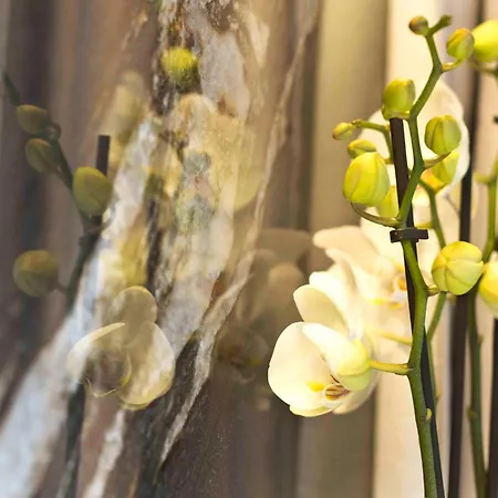 Boutique Отель Сирмионе