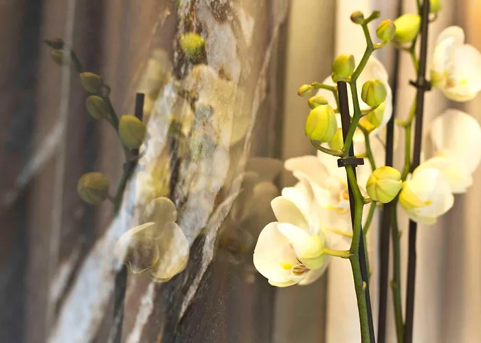 Boutique Hotel Sirmione